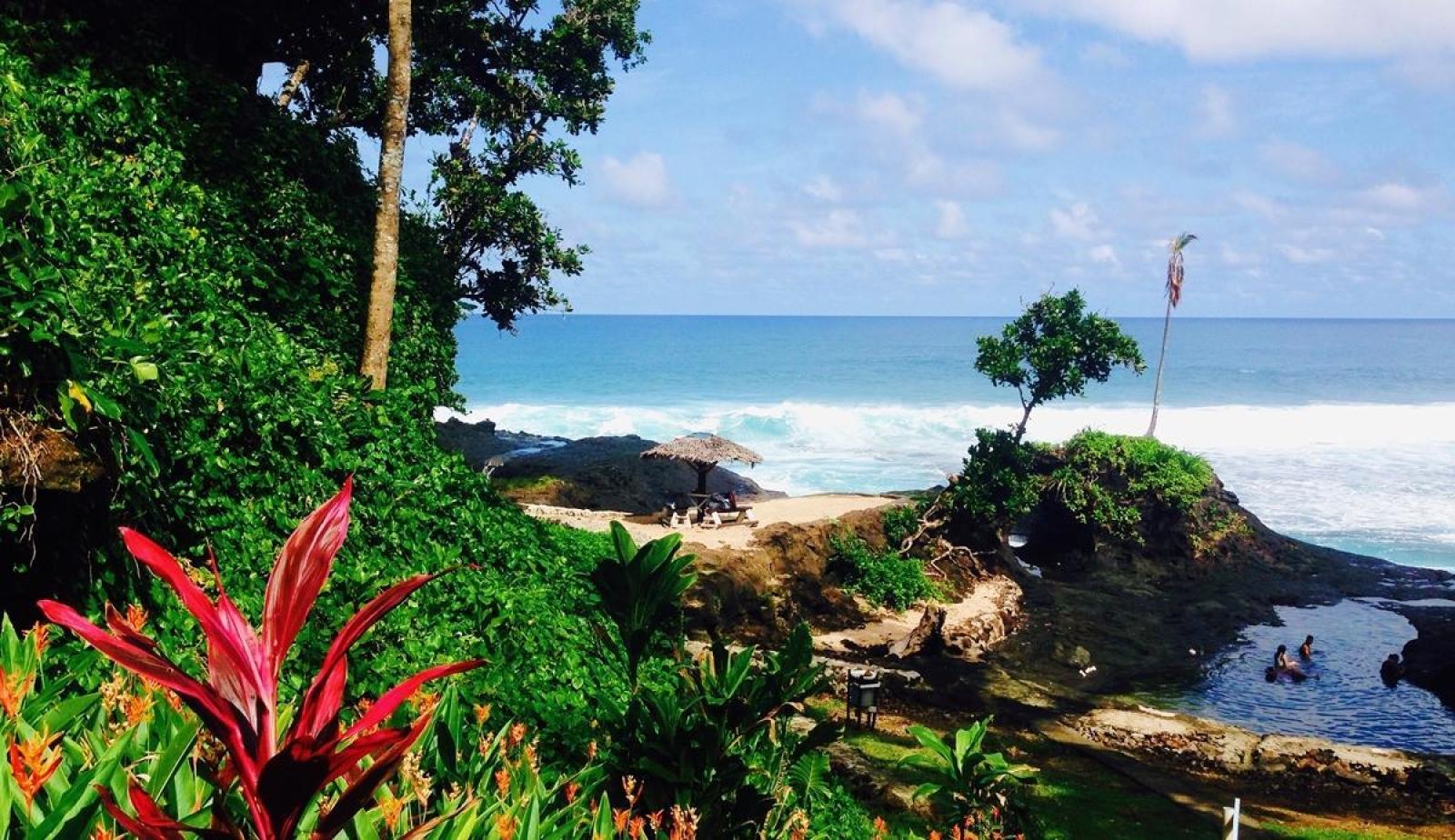 サモアで海外ボランティア Projects Abroad